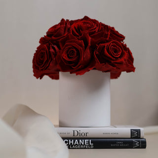 MAYA WHITE - DEMI-BALL