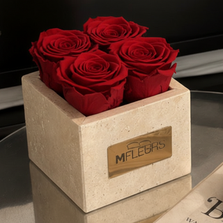 TRAVERTINE - MIGNON - RED ETERNAL ROSE