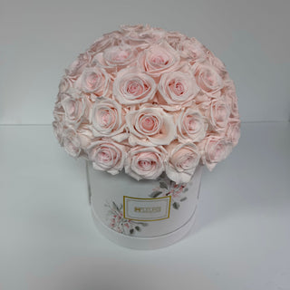LE CHAPEAU ETHERA Hand-Painted by Bianca Rosen | Demi-Ball