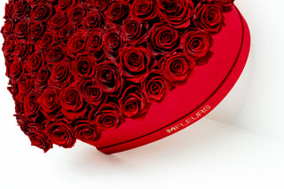 ALL MY HEART CUSHION - RUBY RED VELVET