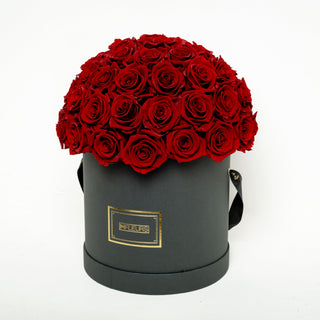 CHAPEAU BLACK - DEMI-BALL