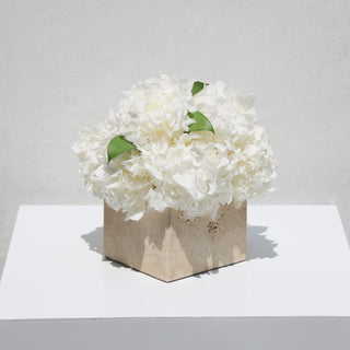 TRAVERTINE - MIGNON SERENITY - WHITE HYDRANGEA